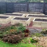 Raised beds in the garden